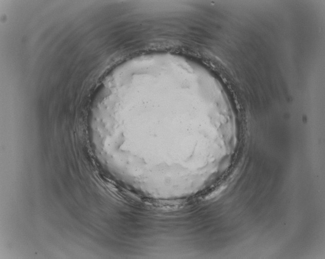 X0000067931401200605112022