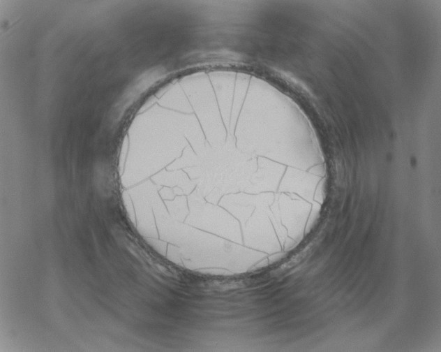 X0000067931407200605112022
