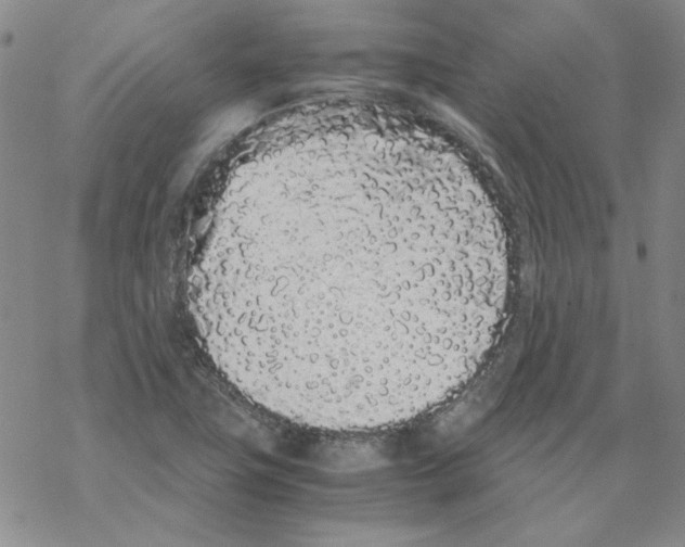X0000067931411200605112022