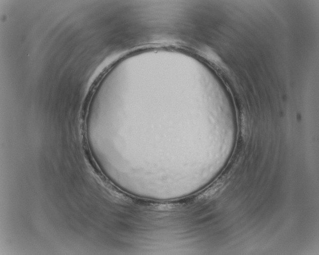 X0000067931412200605112022