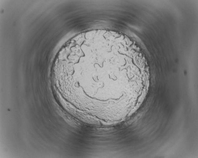 X0000067931427200605112022