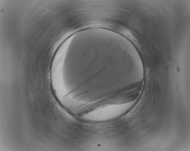 X0000067931428200605112022