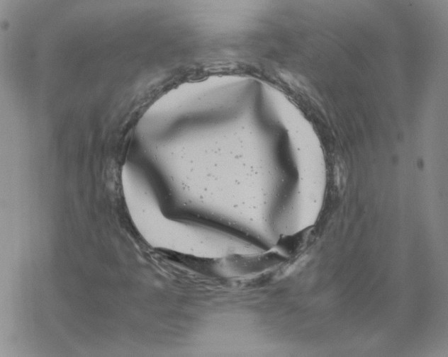 X0000067931445200605112022