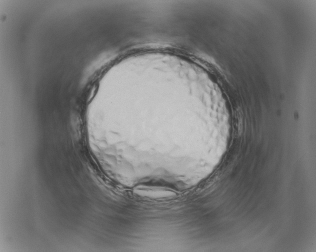 X0000067931448200605112022