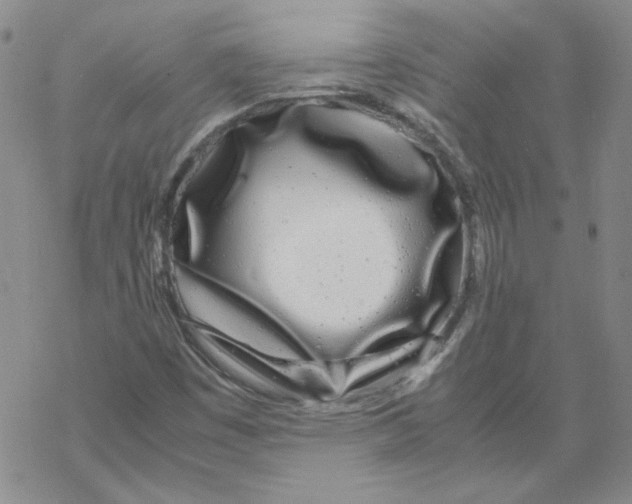 X0000067931449200605112022