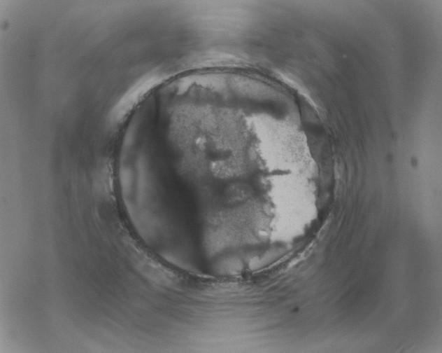 X0000067931455200605112022