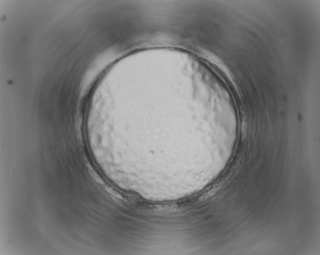 X0000067931464200605112021