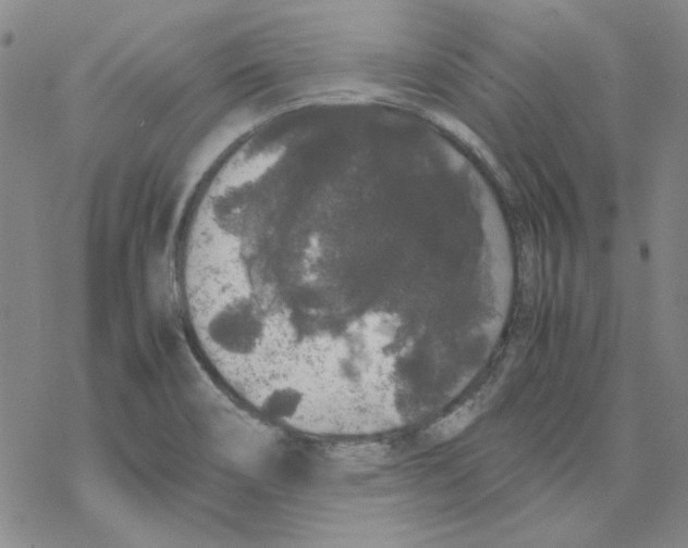 X0000067931466200605112021