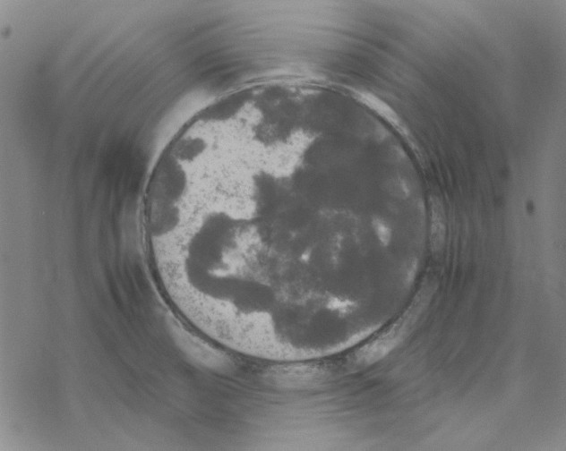 X0000067931474200605112021