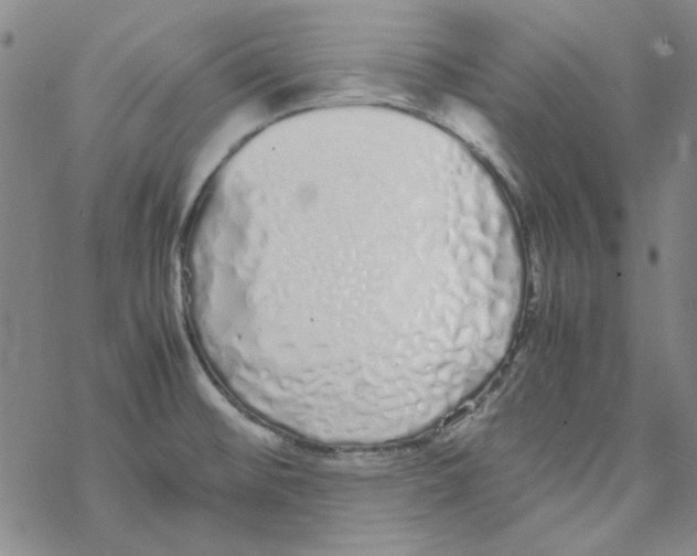 X0000067931476200605112021