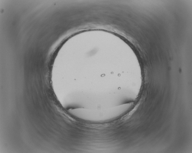 X0000067931502200605112020