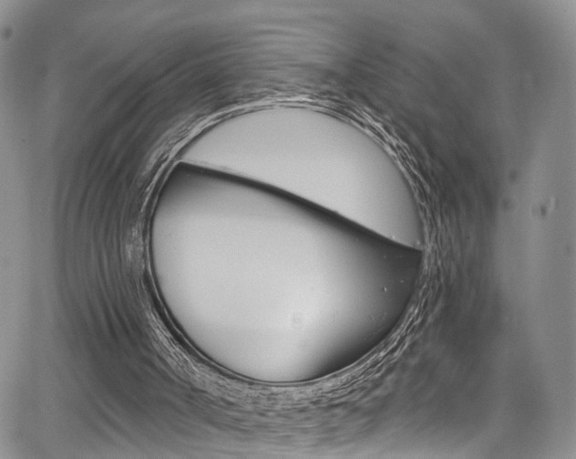 X0000067940002200604131143