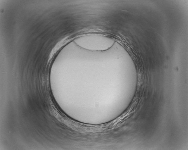 X0000067940004200604131143