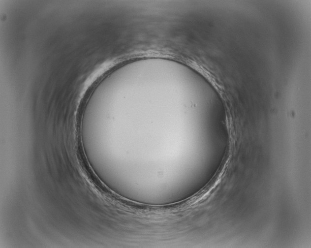 X0000067940008200604131143