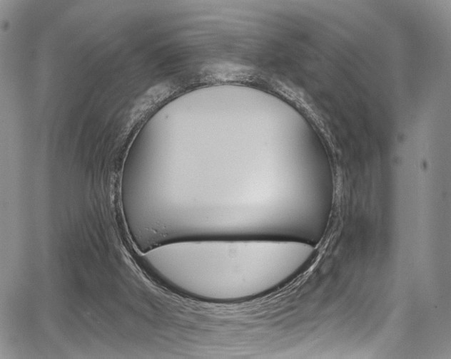 X0000067940010200604131143