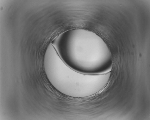 X0000067940045200604131142