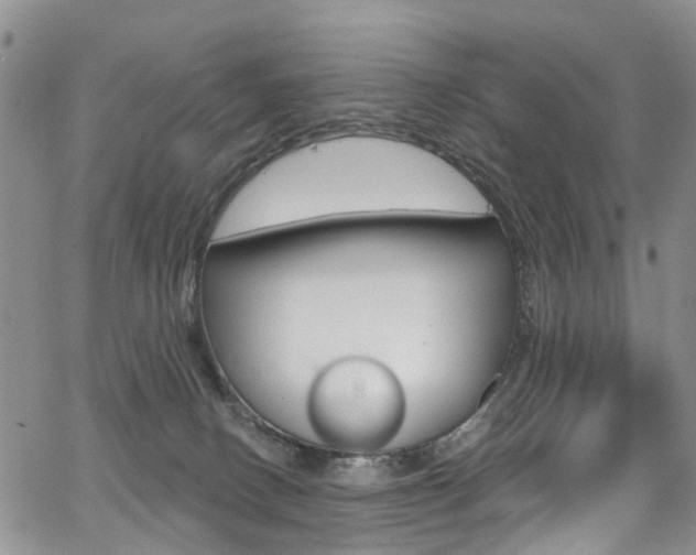X0000067940082200604131142