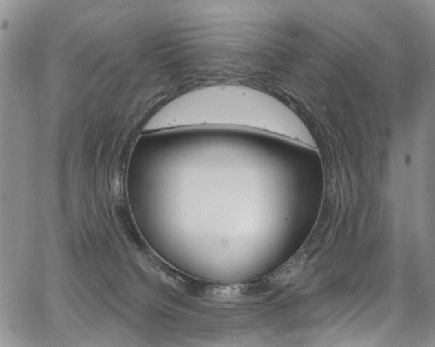 X0000067940084200604131142