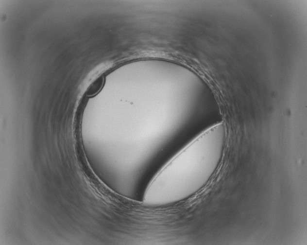 X0000067940104200604131141