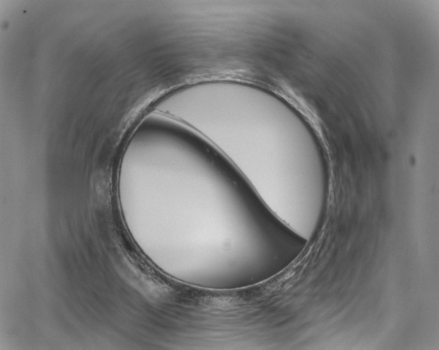 X0000067940107200604131141