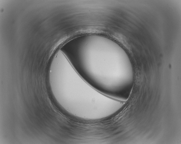 X0000067940111200604131141