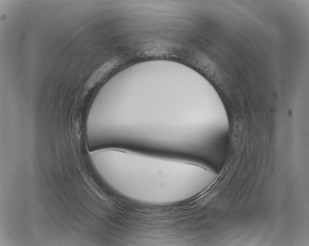 X0000067940116200604131141