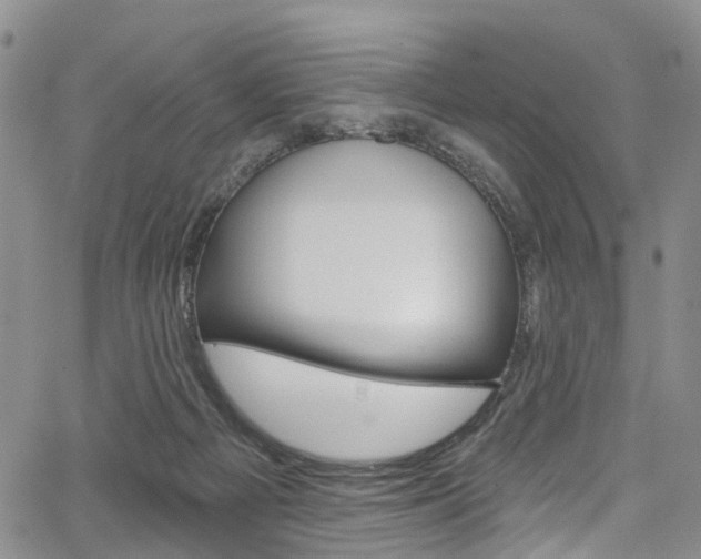 X0000067940121200604131141