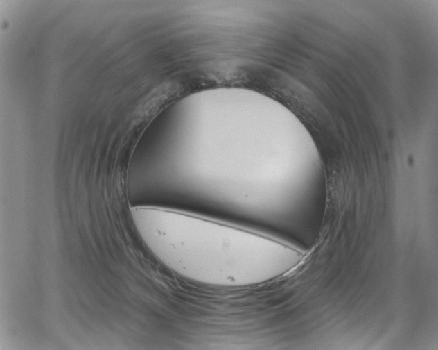 X0000067940132200604131141