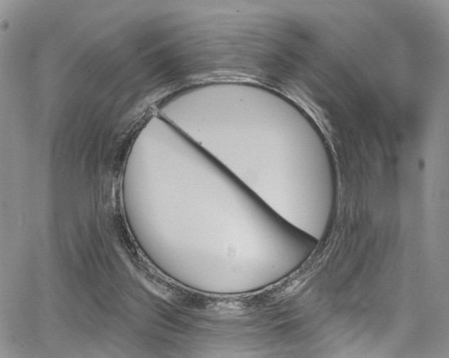 X0000067940157200604131140