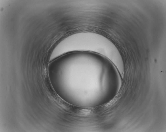 X0000067940176200604131141