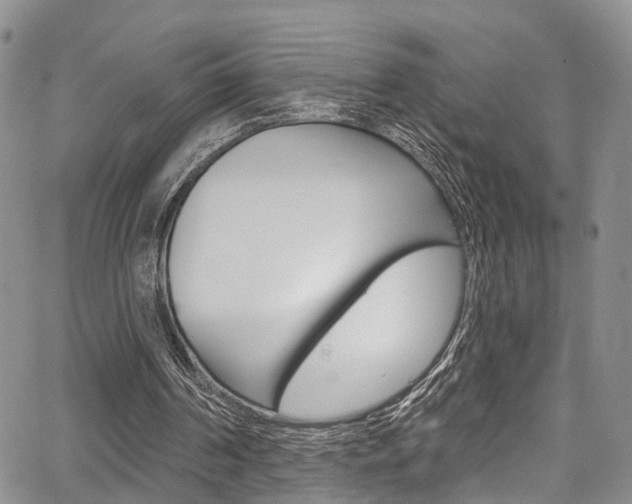 X0000067940194200604131140