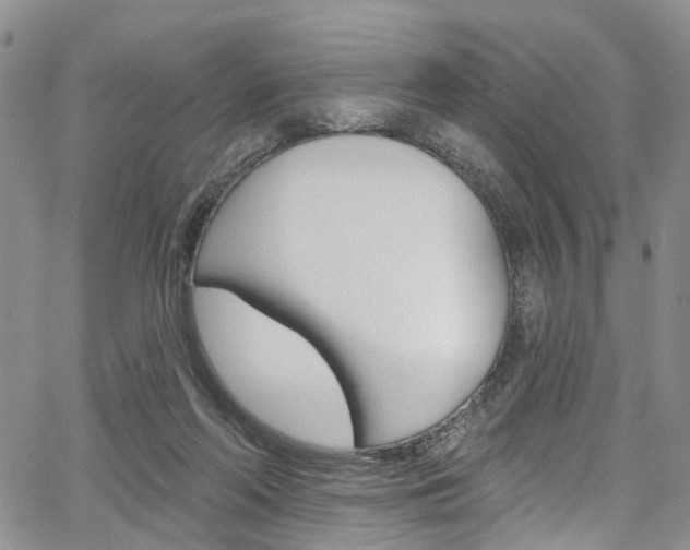 X0000067940214200604131140