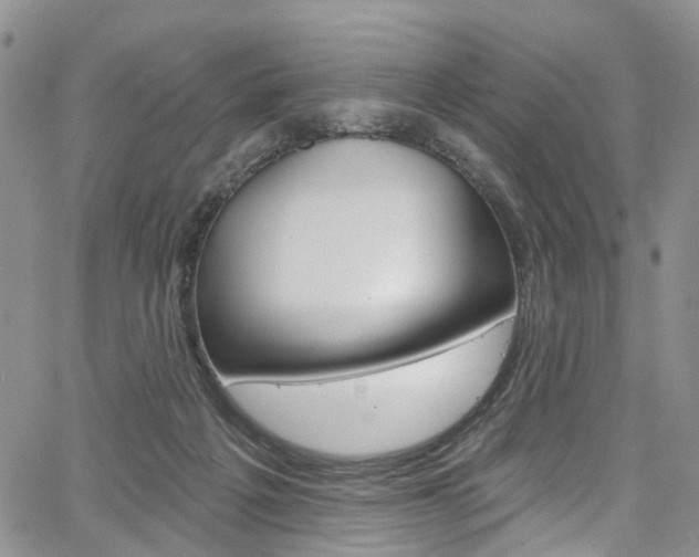 X0000067940217200604131140