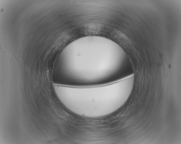 X0000067940224200604131139