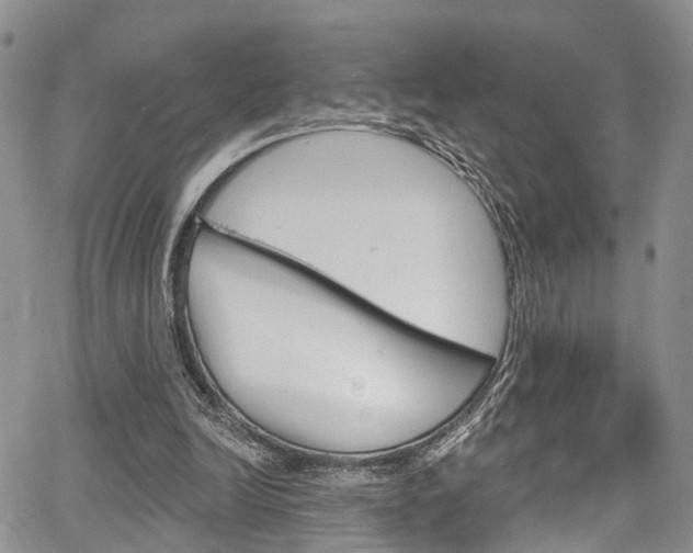 X0000067940246200604131138