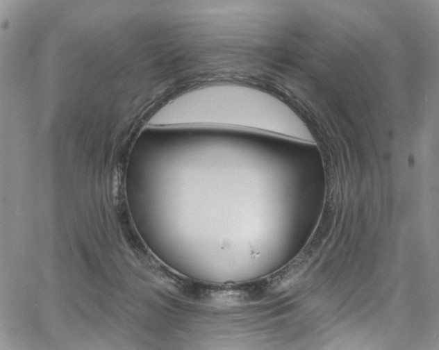 X0000067940268200604131139