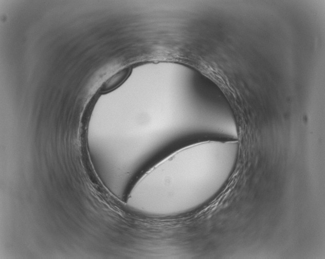 X0000067940292200604131138