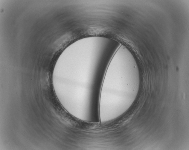 X0000067940308200604131138