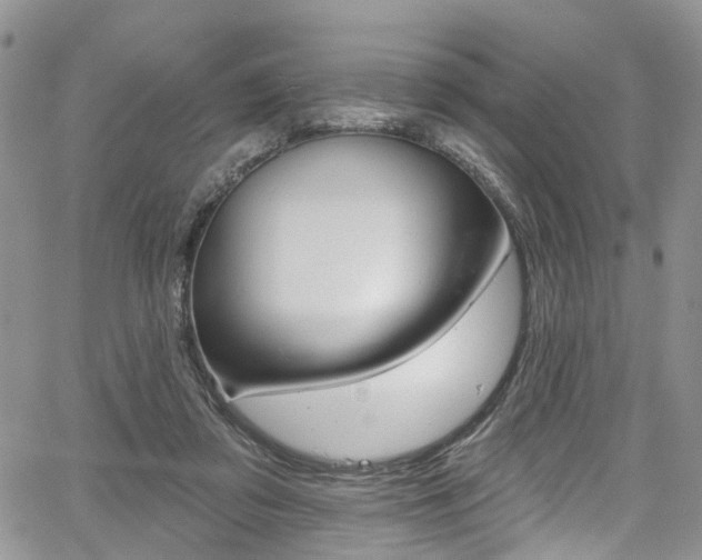 X0000067940309200604131138