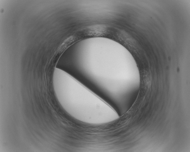 X0000067940312200604131138