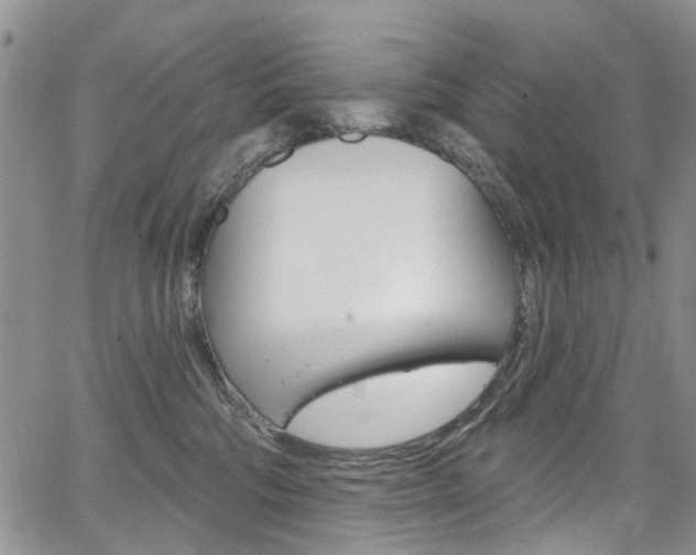 X0000067940330200604131138