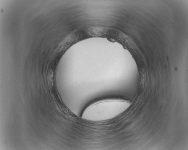 X0000067940332200604131138