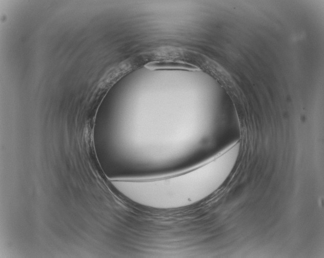 X0000067940333200604131138