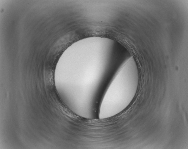X0000067940336200604131138
