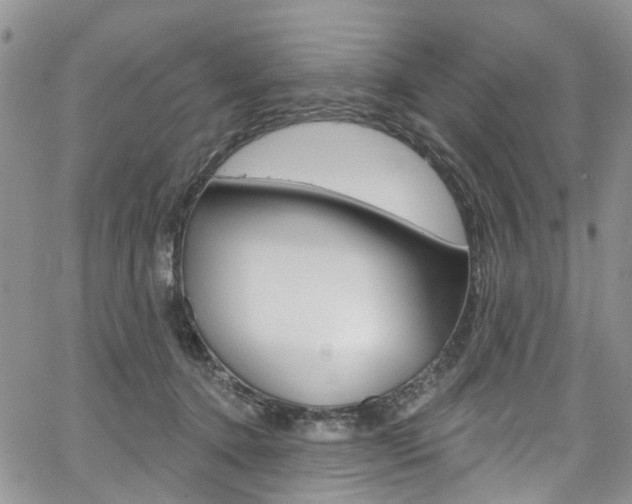 X0000067940368200604131137