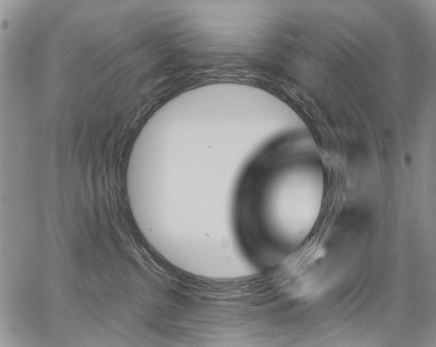 X0000067940380200604131138