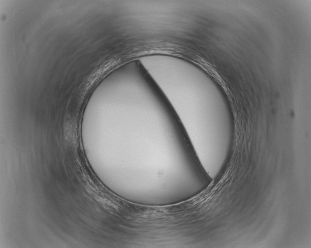 X0000067940386200604131137