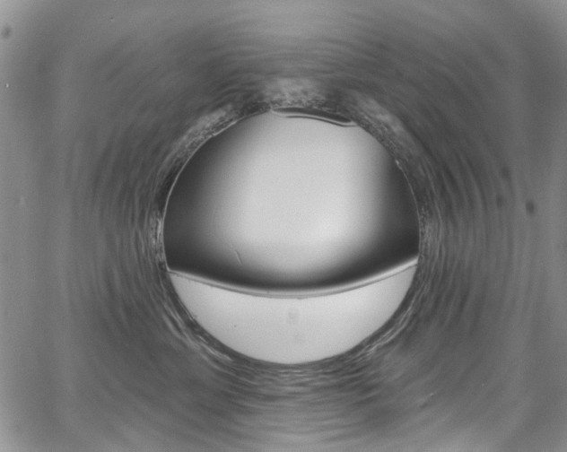X0000067940429200604131136