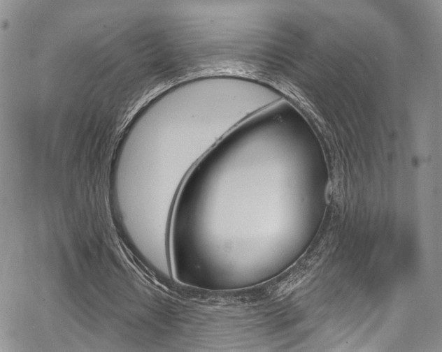 X0000067940434200604131135