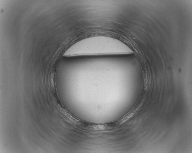 X0000067940473200604131136